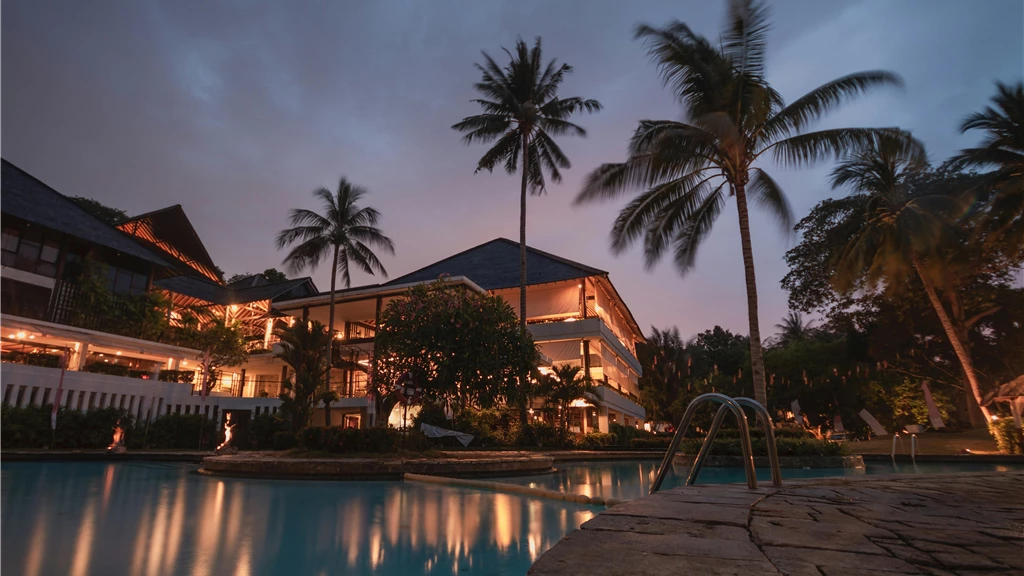 Palm Trees at Night